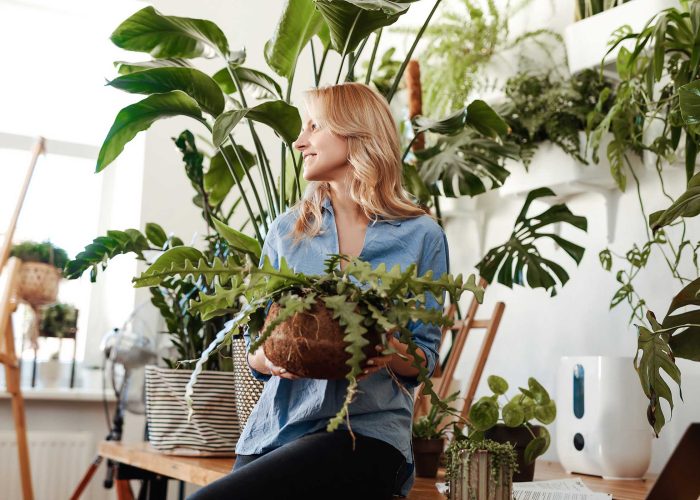 portrait-of-a-careful-young-woman-with-houseplant-S36YY5W.jpg